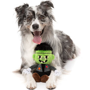 Igor Halloween  - Dog Toy
