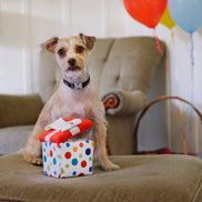 Party Time Pawfect Present Plush Dog Toy