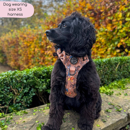 Disney© Tough Trails™ Harness - Disney Dogs: M