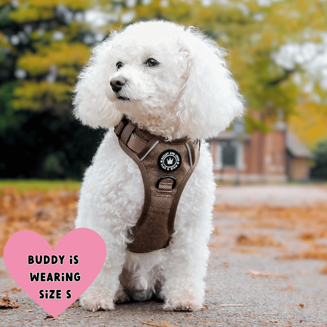 Trail & Glow Tweed Dog Harness - Oxford Tweed: XS