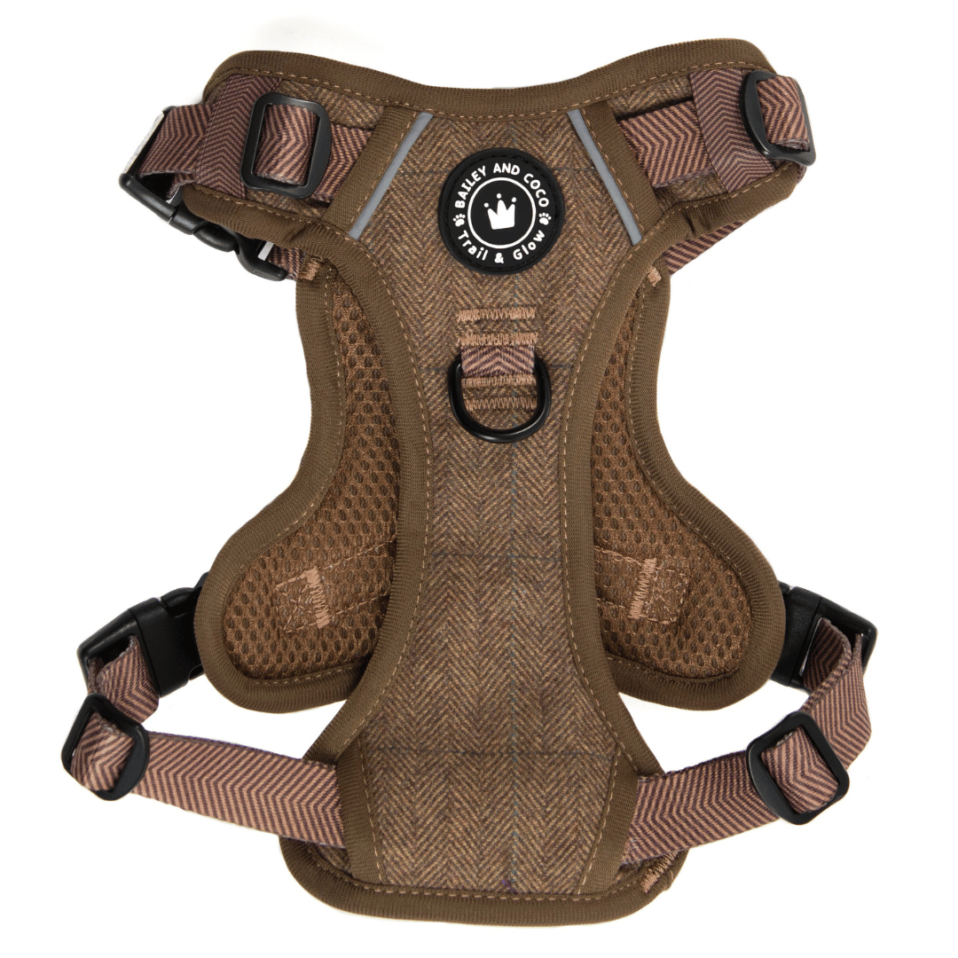 Trail & Glow Tweed Dog Harness - Oxford Tweed: M