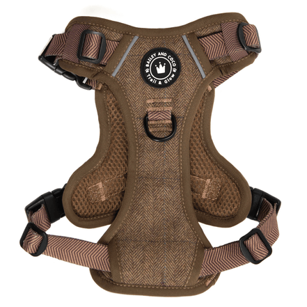 Trail & Glow Tweed Dog Harness - Oxford Tweed: XS