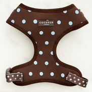 Biscotti Blue Adjustable Neck HARNESS: XXS