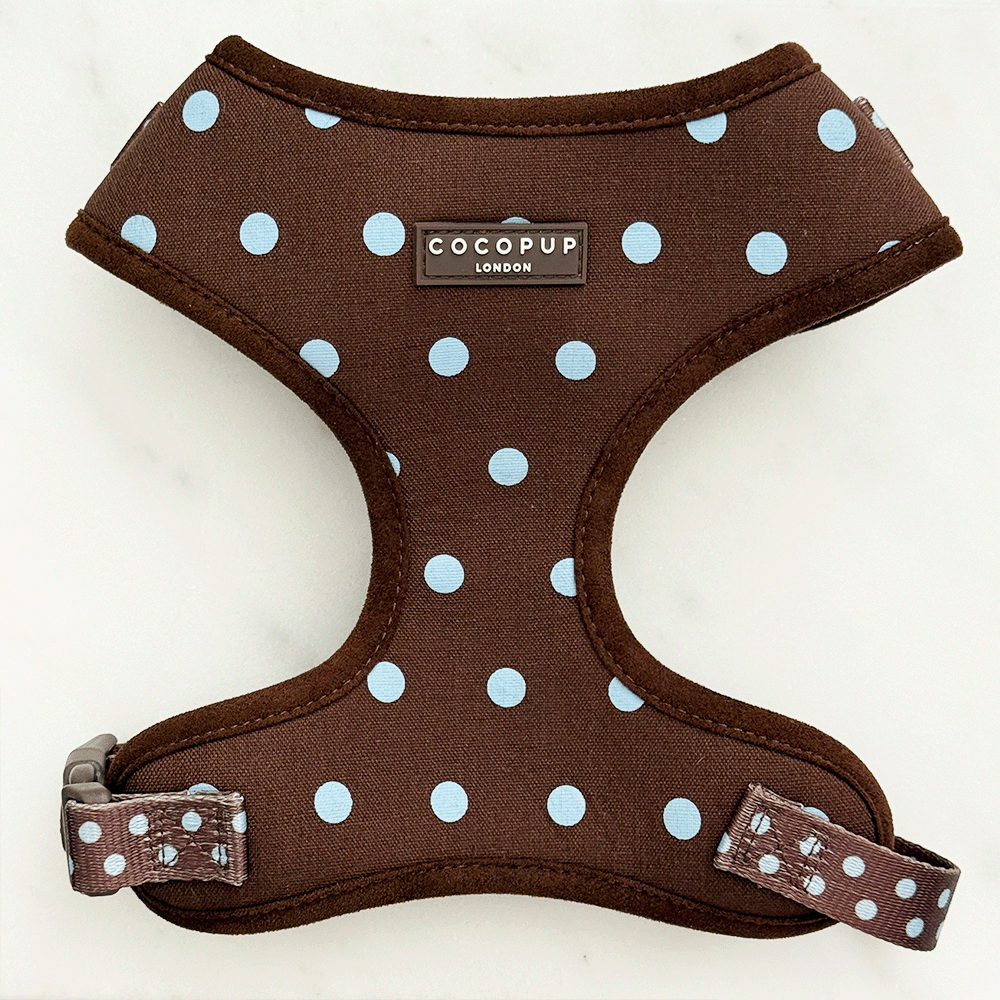 Biscotti Blue Adjustable Neck HARNESS: XXS