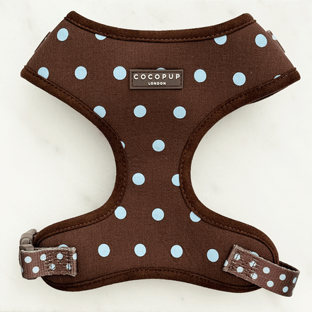 Biscotti Blue Adjustable Neck HARNESS: M