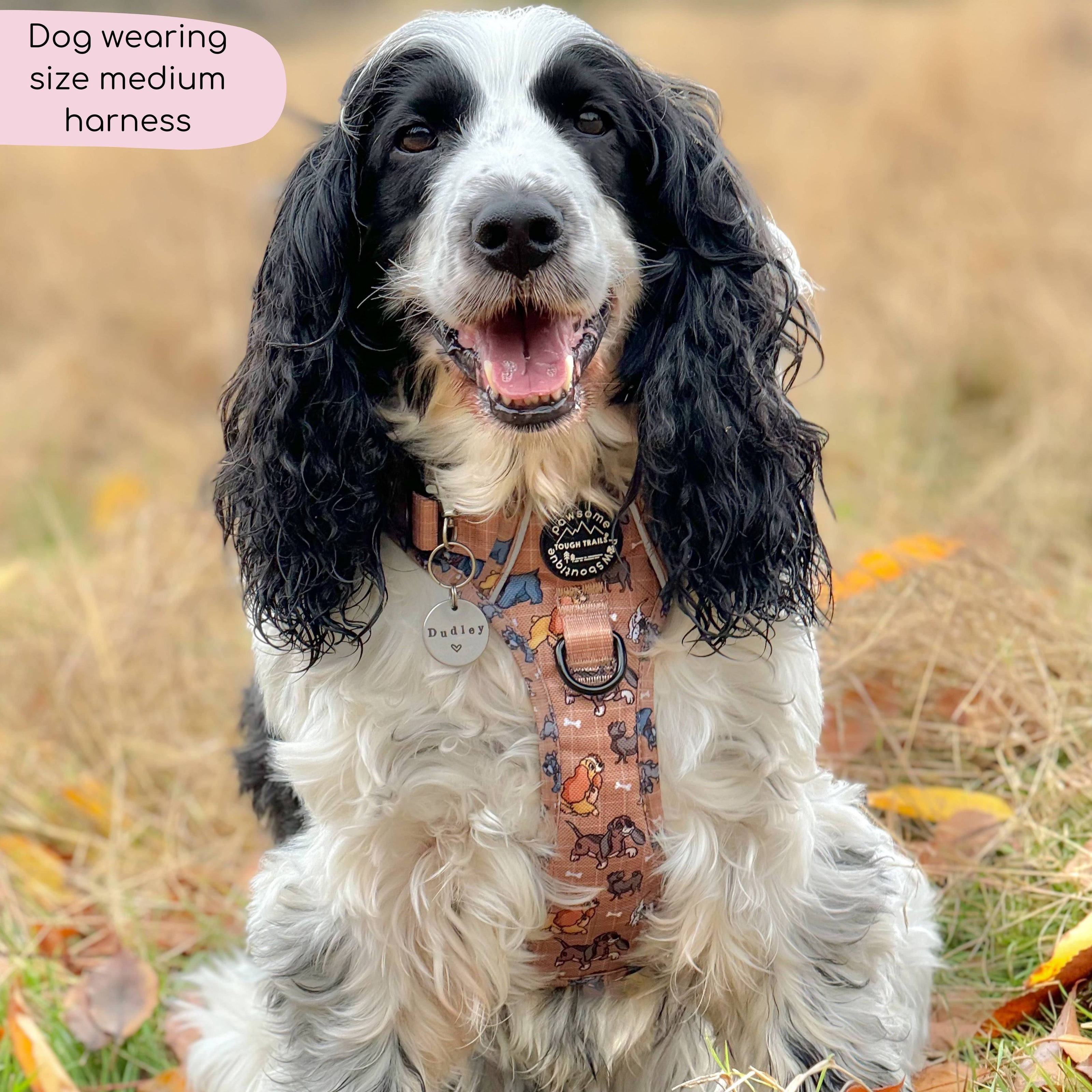 Disney© Tough Trails™ Harness - Disney Dogs: XS