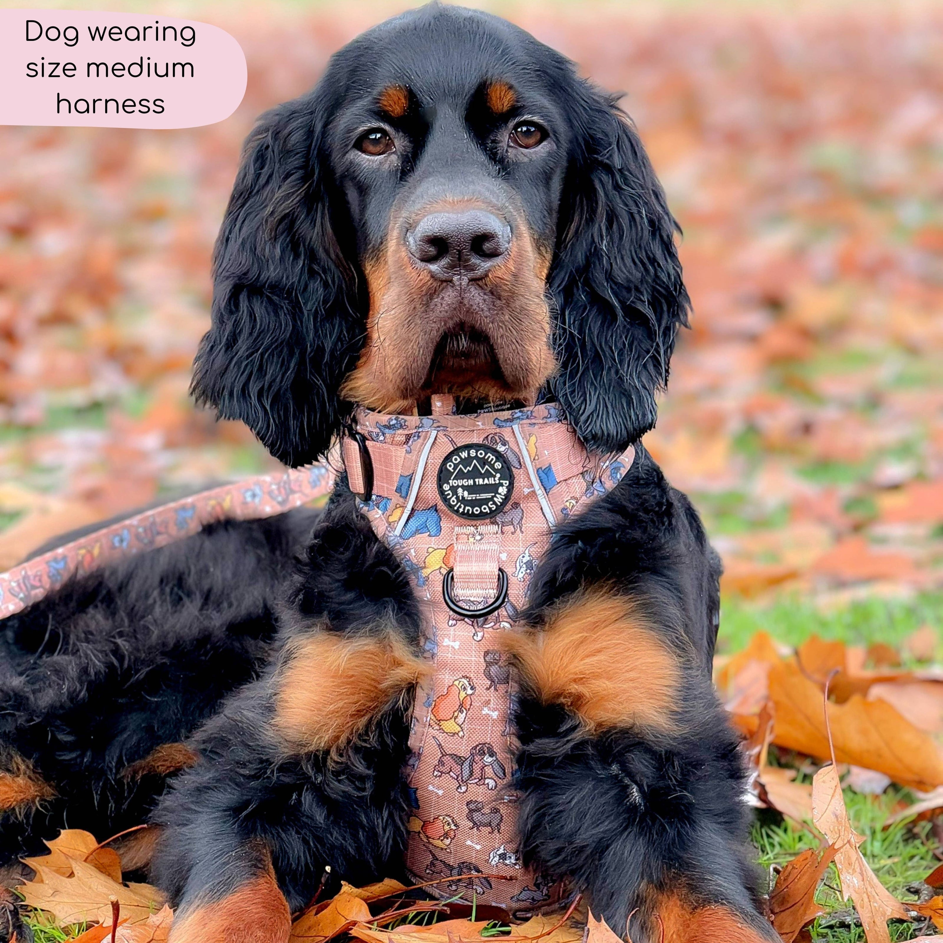 Disney© Tough Trails™ Harness - Disney Dogs: M