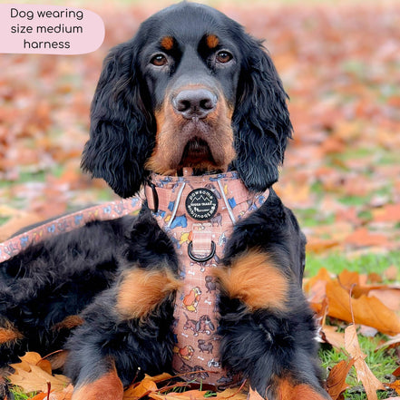 Disney© Tough Trails™ Harness - Disney Dogs: M