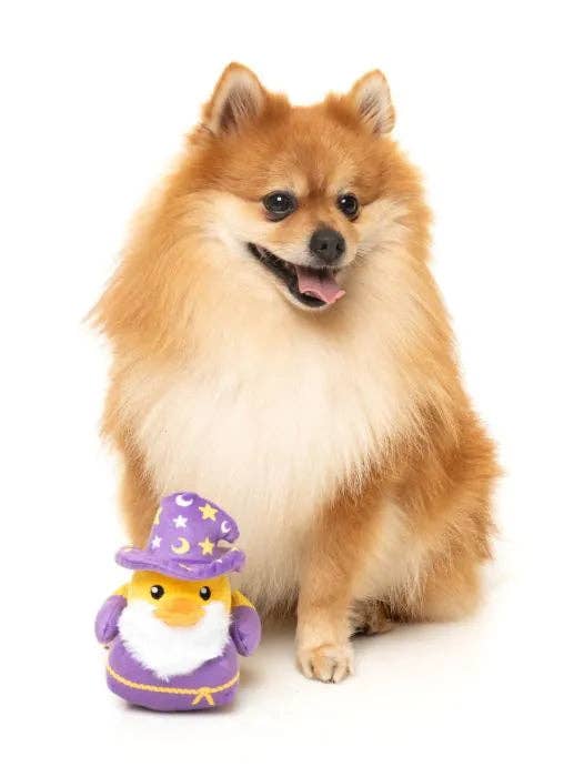 Sirius Quack - Dog Toy: Small