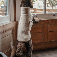 The Capsule Cosy Coat: M