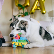 Party Animal - Fiesta Fetch Pinata