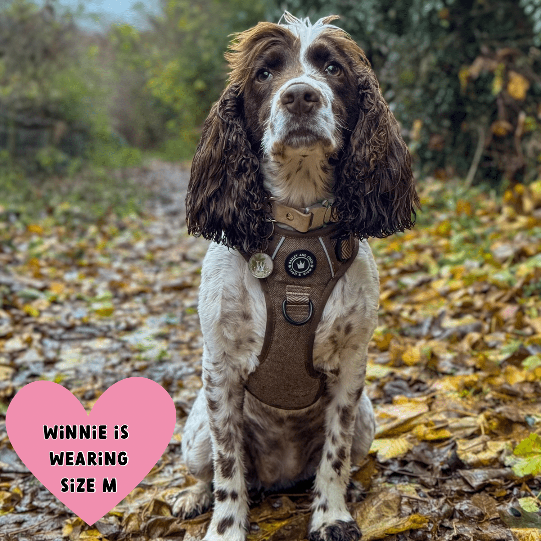 Trail & Glow Tweed Dog Harness - Oxford Tweed: M