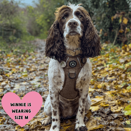 Trail & Glow Tweed Dog Harness - Oxford Tweed: M