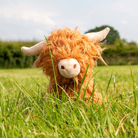 Heritage Fergus Highland Cow