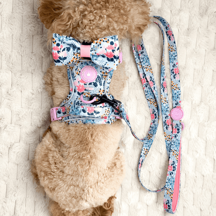 Floral Dog Harness - Colour Drops - Spring Dreams: L