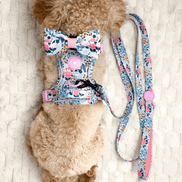 Floral Dog Harness - Colour Drops - Spring Dreams: M
