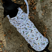 Dog Raincoat - Puddle Pup: XS