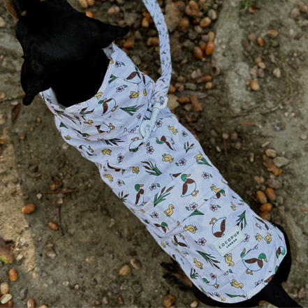 Dog Raincoat - Puddle Pup: S