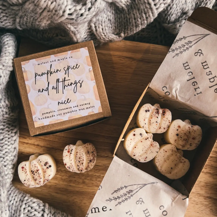 The Salem Bookstore Pumpkin Patch /Autumn Soy Wax Melts Fall