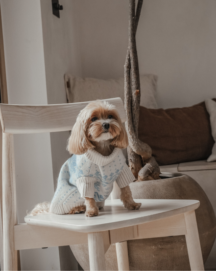 Ice Blue | Après Ski Roll Neck Knit: XS
