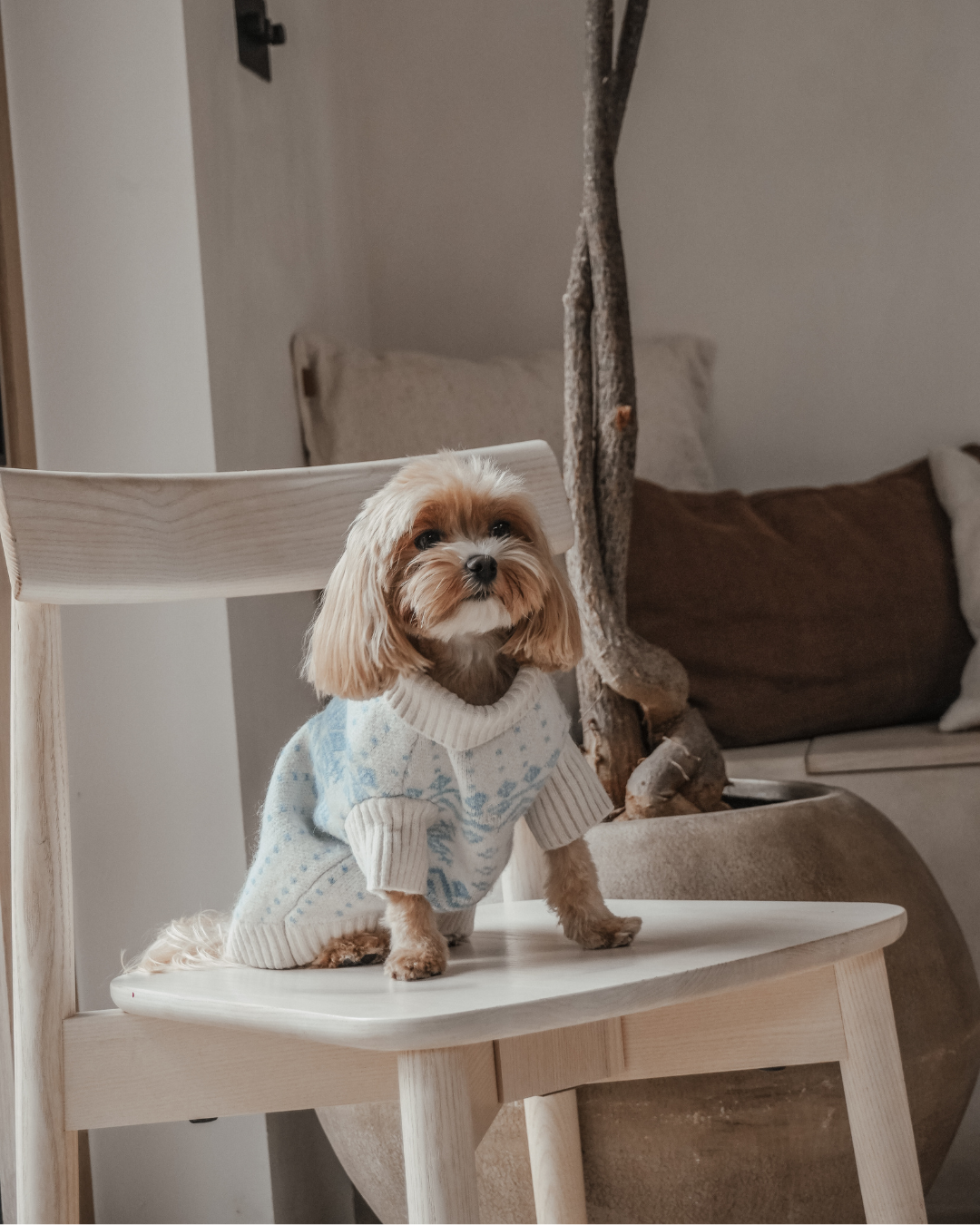 Ice Blue | Après Ski Roll Neck Knit: M