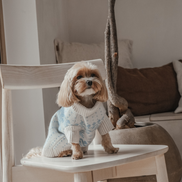 Ice Blue | Après Ski Roll Neck Knit: S/M