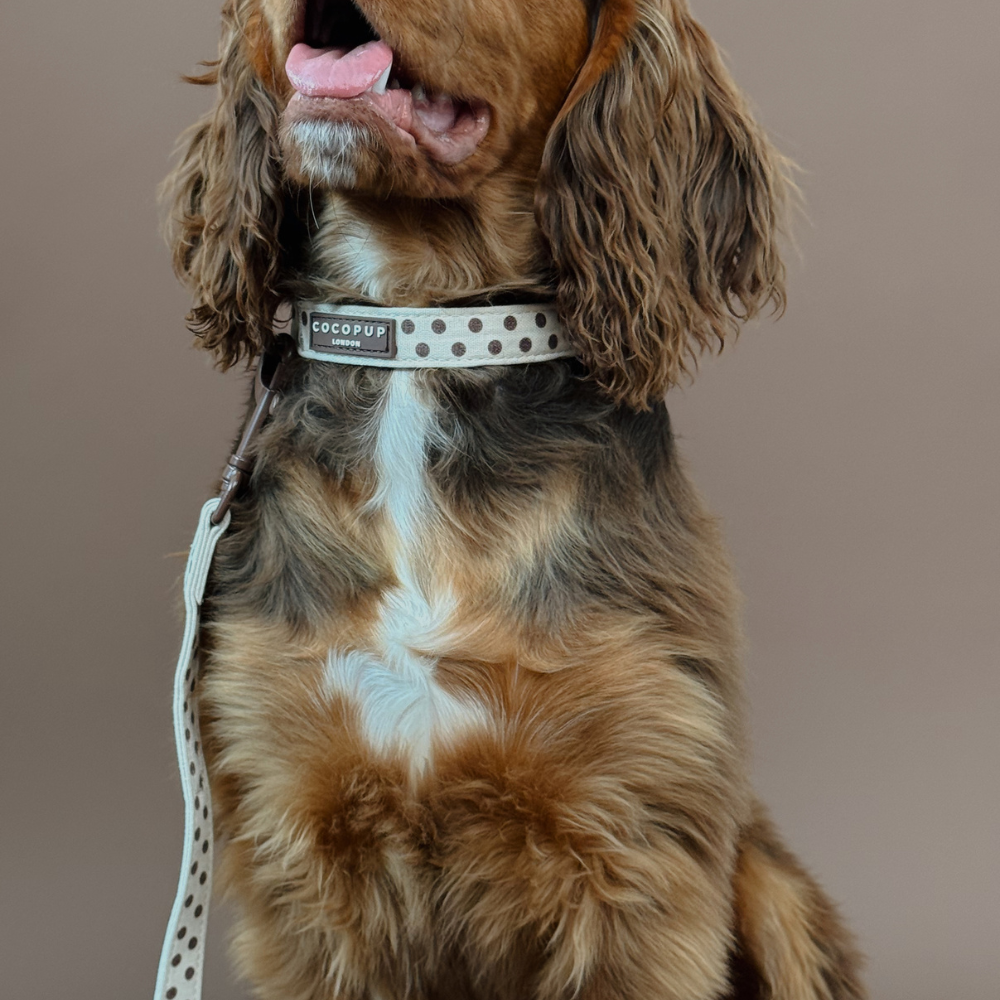 Tiramisu Polka Dot COLLAR: M