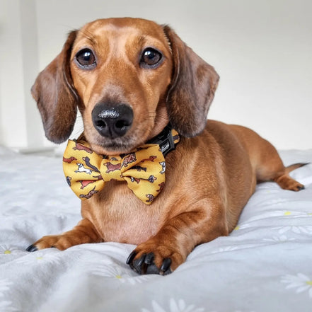 Dog Bow Tie - Dashing Dachshunds