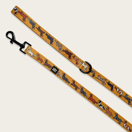 Dog Lead - Dashing Dachshunds