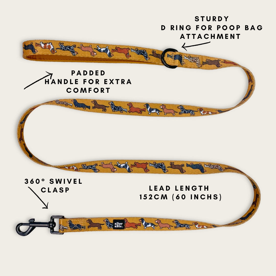 Dog Lead - Dashing Dachshunds