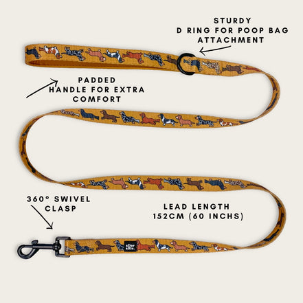 Dog Lead - Dashing Dachshunds