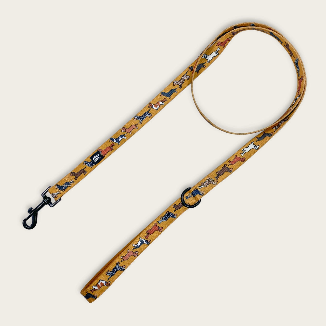 Dog Lead - Dashing Dachshunds
