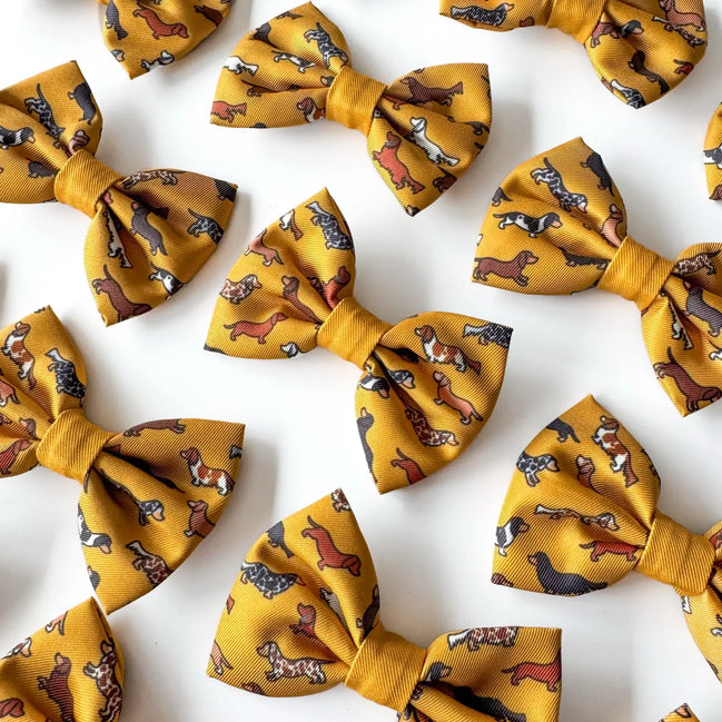 Dog Bow Tie - Dashing Dachshunds