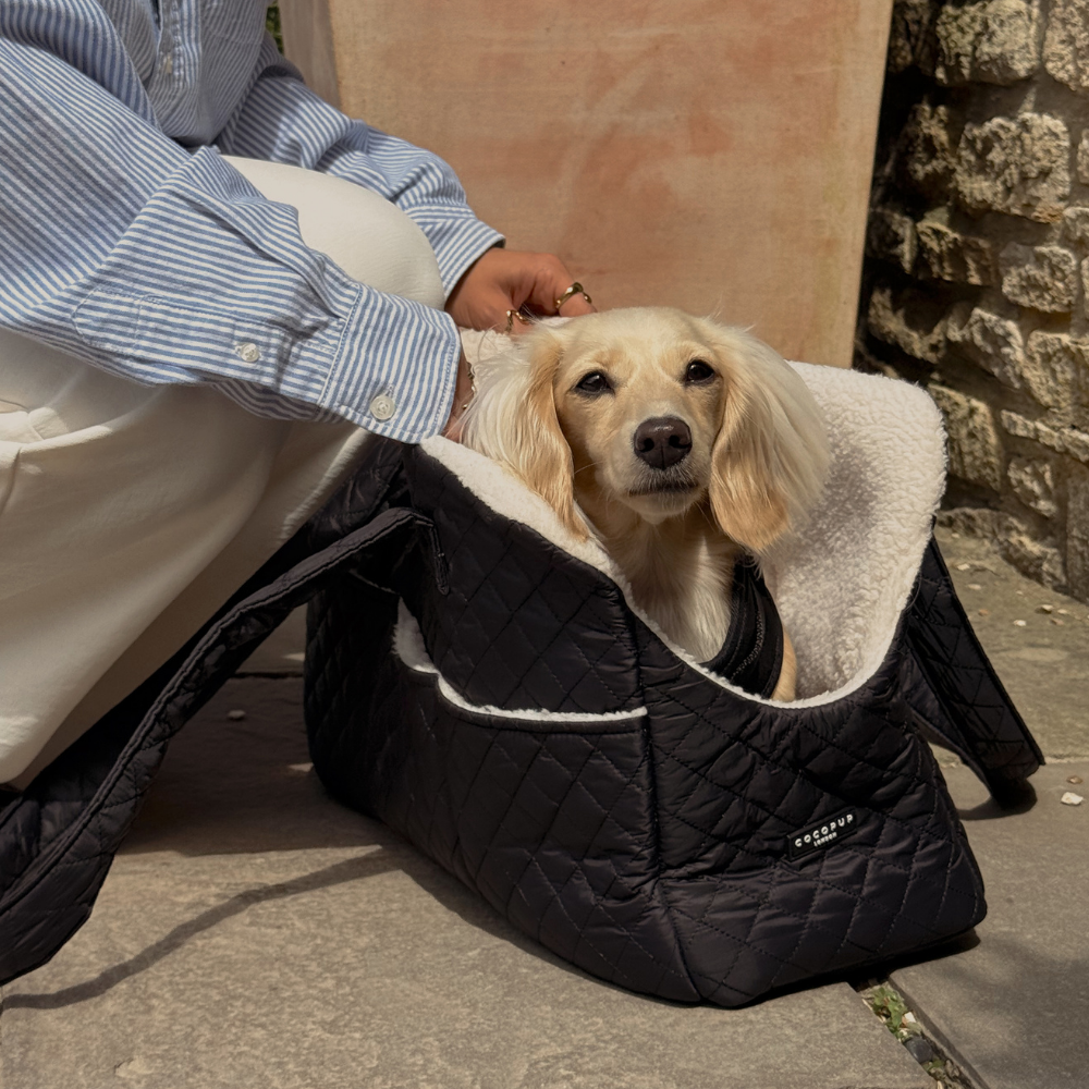 Dog Carrier - Quilted Black