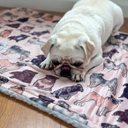 The Pug Dog Blanket