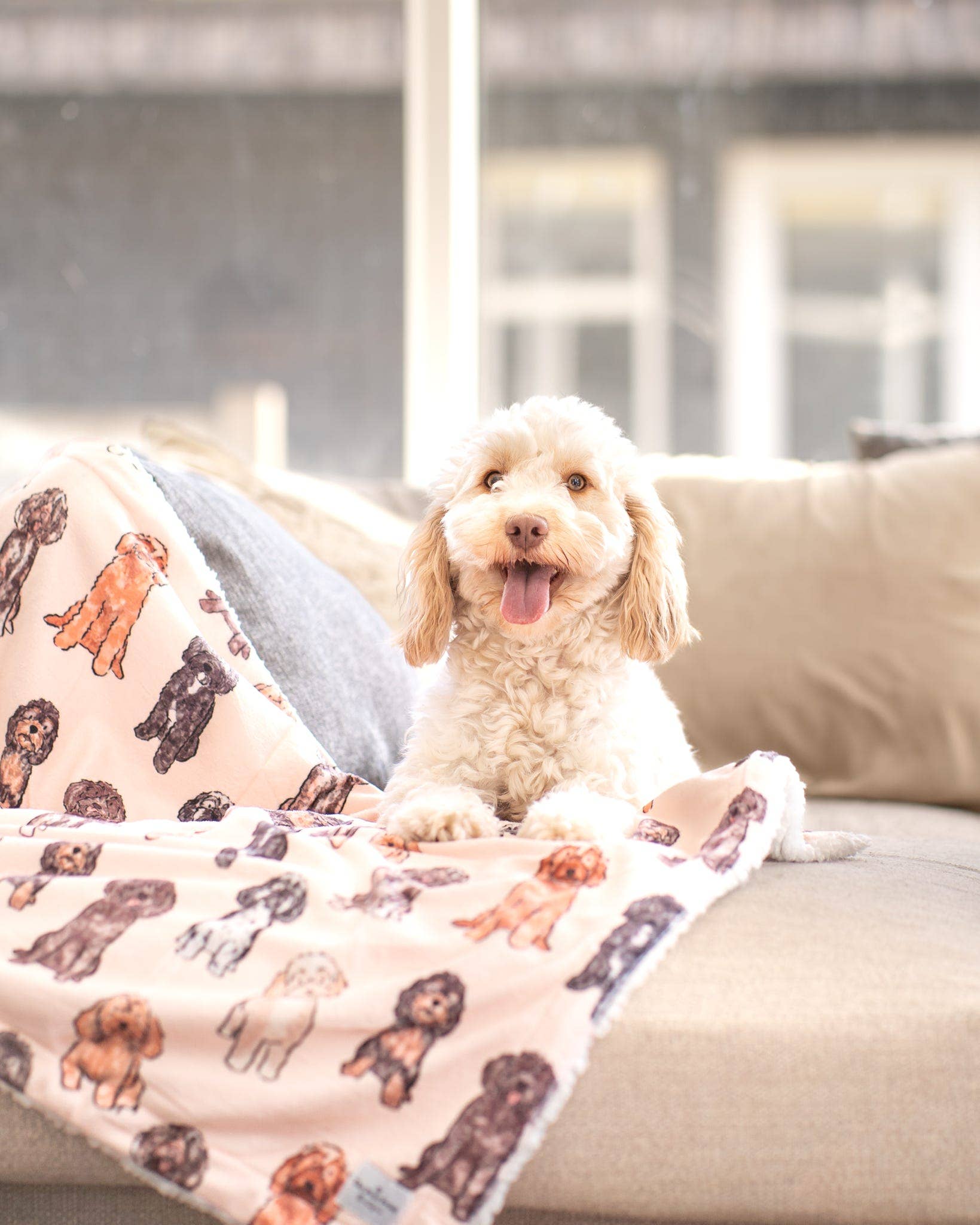 The Oodles & Doodles Dog Blanket