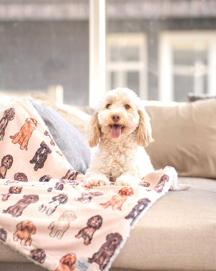 The Oodles & Doodles Dog Blanket