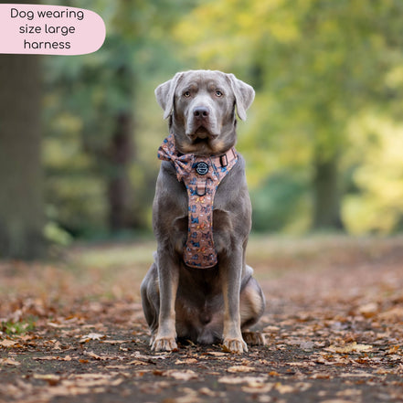 Disney© Tough Trails™ Harness - Disney Dogs: M