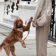 Crossbody Crescent Dog Walking Bag - London Linen Stripes