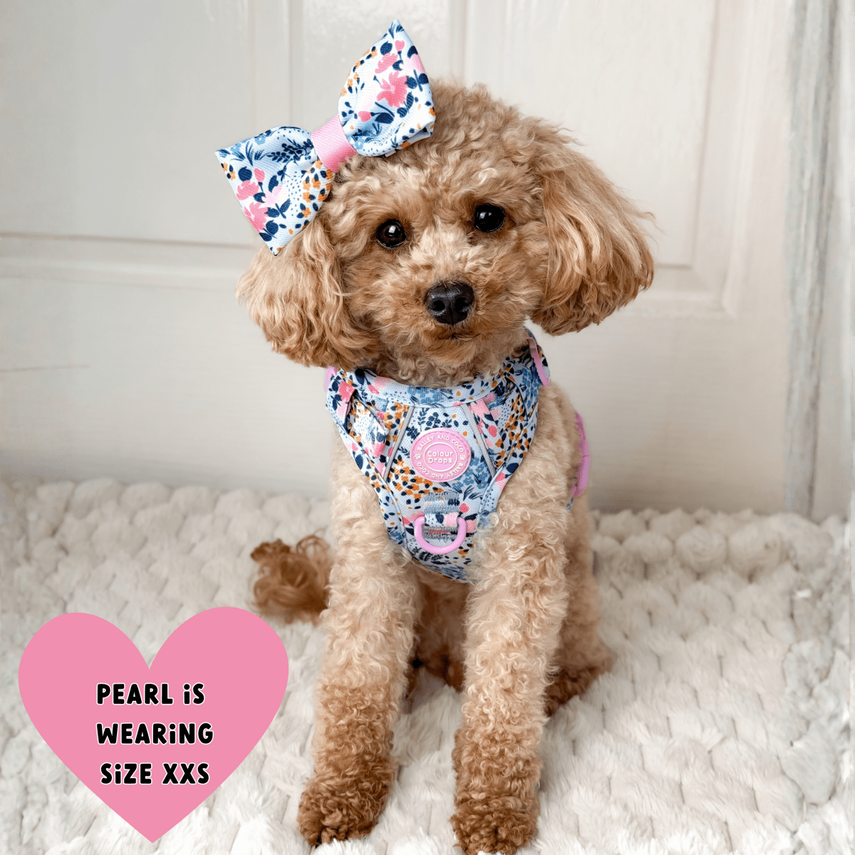 Floral Dog Harness - Colour Drops - Spring Dreams: L