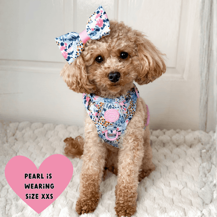Floral Dog Harness - Colour Drops - Spring Dreams: L