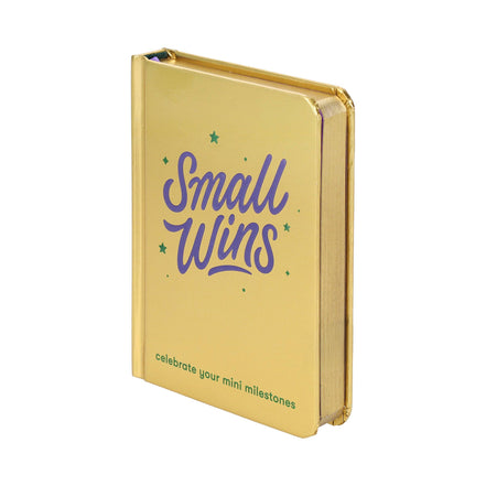 Small Wins - A Journal to Celebrate Your Mini Milestones (Diary or Journal)
