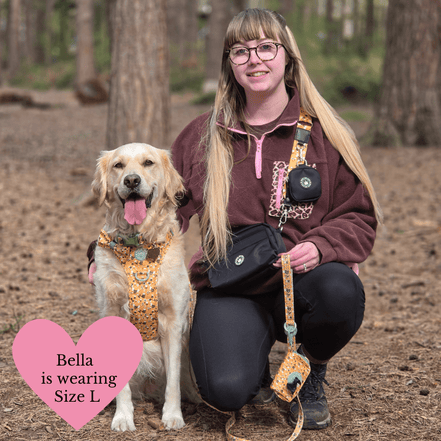 Trail & Glow Dog Harness Bundle Set - Colour Drops - Wanna-Bee: M / M