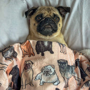 The Pug Dog Blanket