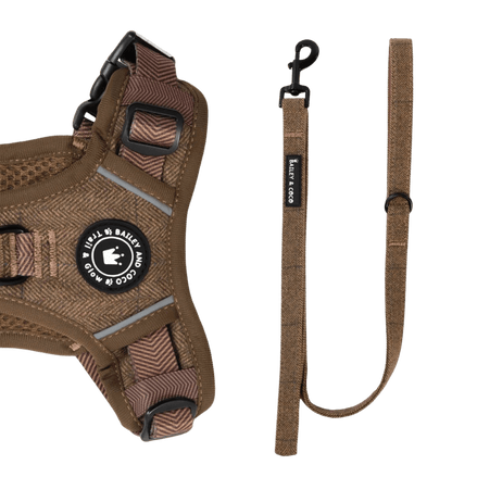 Dog Lead 5ft - Oxford Tweed: 5FT