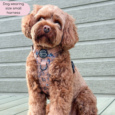 Disney© Tough Trails™ Harness - Disney Dogs: XS