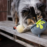Howling Haunts Pups Potion