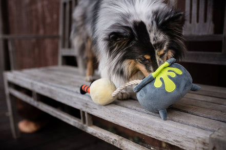 Howling Haunts Pups Potion