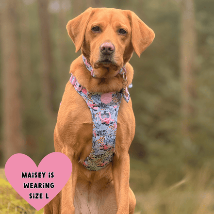Floral Dog Harness - Colour Drops - Spring Dreams: L