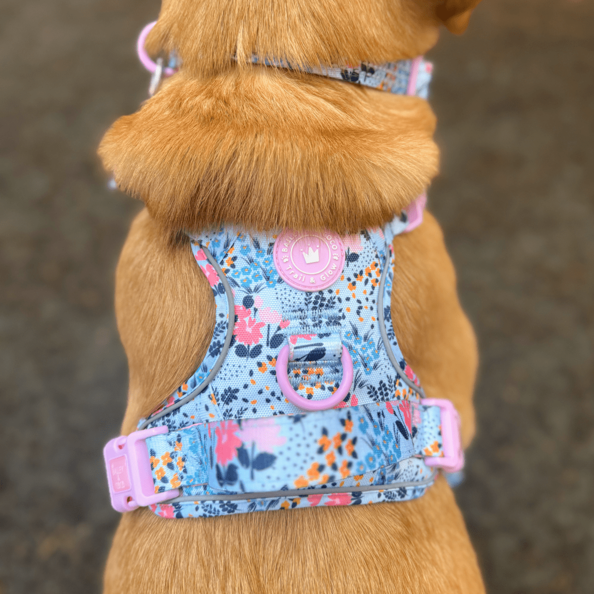 Floral Dog Harness - Colour Drops - Spring Dreams: S